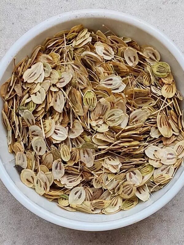 پودر گلپر اردبیلی اعلاء